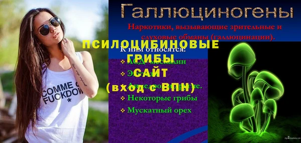 метадон Вяземский